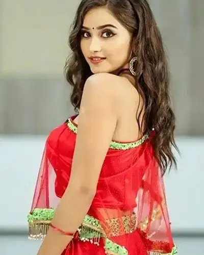 Call Girls Service Manglaur